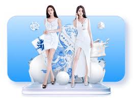公司简介